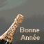 bonne-annee-20060614
